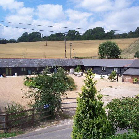 Five Cottages In Aonb And A Hobbit House! 坎特伯雷 外观 照片